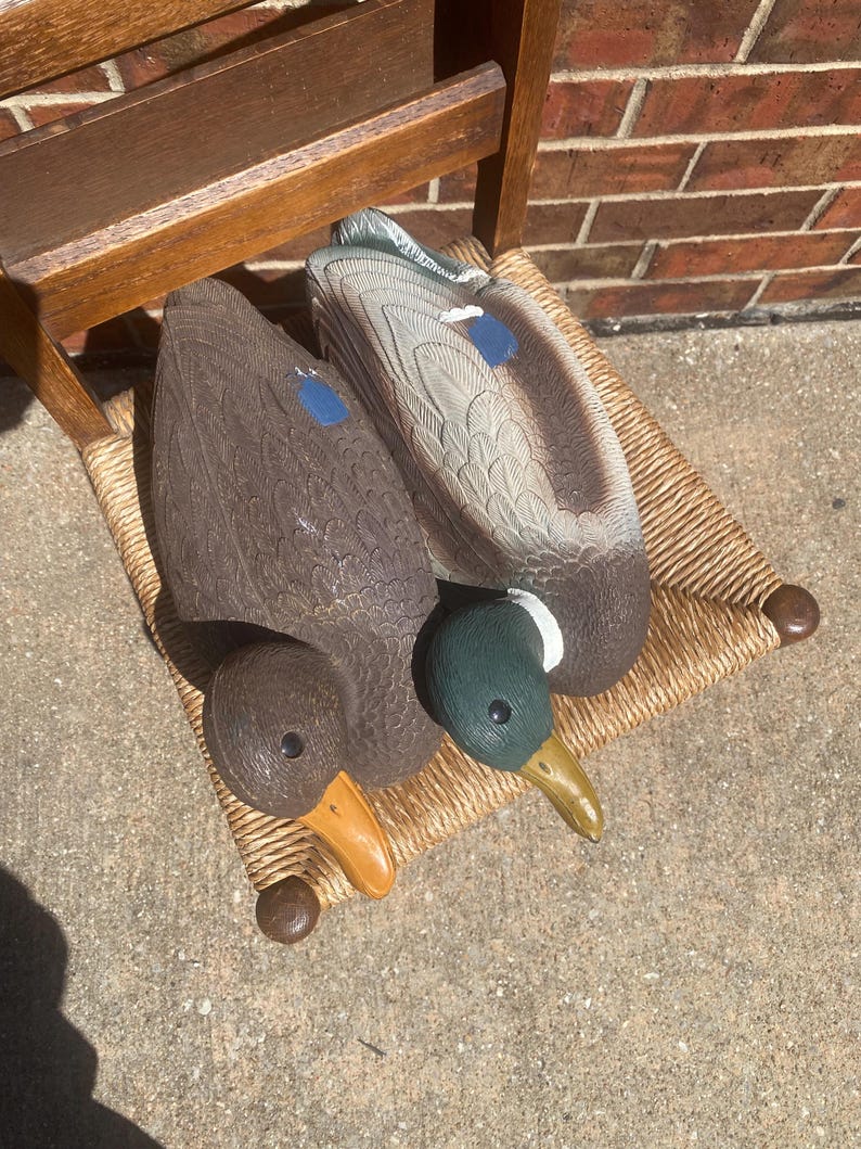 Top view of vintage Flambeau mallard duck decoy set showing both drake and hen side by side with detailed carved feather patterns across wings and back, natural color variation with brown, gray and blue accents visible, molded plastic construction with realistic texture, functional floating duck decoys used for waterfowl hunting with weighted keel undersides, rustic lodge decor styling for cabin or lake house, sporting themed interior accent, vintage hunting gear with decorative crossover