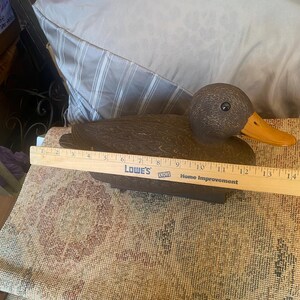 Measurement photo of hen mallard duck decoy showing approximate length around thirteen to fourteen inches using ruler, vintage Flambeau decoy size reference for waterfowl hunting or decor use, molded plastic construction with carved feather detail and natural brown tones, functional floating decoy with keel base underside, rustic cabin lodge decor styling, lake house wildlife accent, outdoorsman collectible with visible wear consistent with vintage hunting gear use