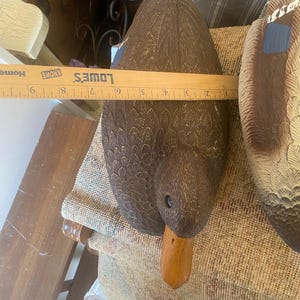 Top view of hen mallard duck decoy highlighting layered feather pattern across back and wings with subtle painted detailing and natural brown color variation, vintage Flambeau hunting decoy with realistic molded plastic texture, functional floating waterfowl decoy with weighted keel underside not visible, rustic lodge decor styling for cabin or lake house, sporting decor collectible with authentic patina and wear, wildlife themed accent piece blending utility and decorative appeal