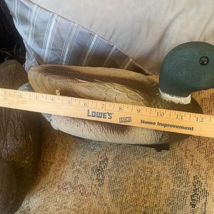 Measurement photo of drake mallard duck decoy showing approximate length around twelve to thirteen inches using ruler for scale, vintage Flambeau decoy size reference, molded plastic body with detailed feather texture and realistic coloration, functional floating hunting decoy with weighted keel base, rustic cabin lodge decor styling element, lake house interior accessory, sporting decor collectible with authentic outdoor use wear, useful sizing reference for display or decoy spread planning