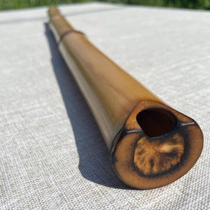 Harmonic bamboo flute - key C