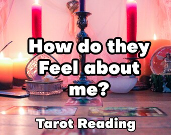 How Do They Feel About Me? In Depth -  Same Day - Tarot Reading - pdf