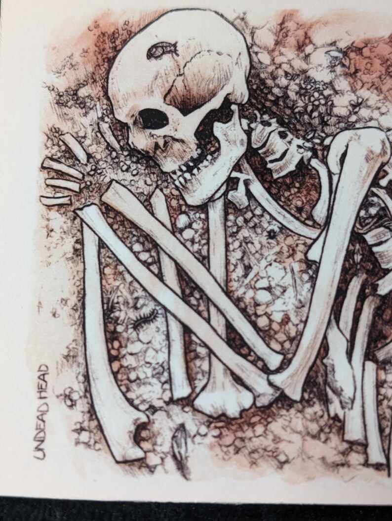 Sleeping Skeleton Mini Giclée Print. Skull, Dark Art, Bugs, Snail, Plants, Macabre, Horror