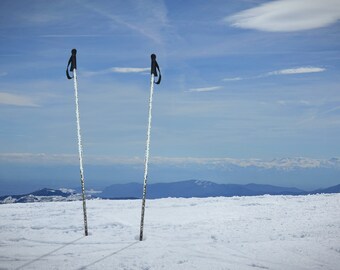 Handcrafted Disco Ski Poles-Get Your Groove On!