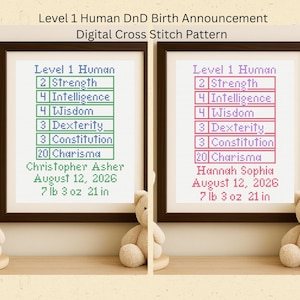 May include: Two framed cross-stitch birth announcements. Each features a "Level 1 Human" Dungeons & Dragons character sheet with stats and baby's name, birthdate, weight, and length. The frames are brown, and the text is in various colours.