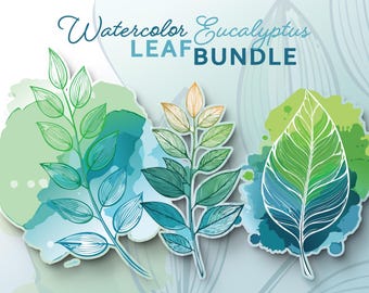 Watercolor Eucalyptus Leaf Bundle: Vector Graphics, Sublimation (Digital Download)
