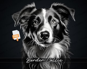 Border Collie Dog PNG: High-Resolution Transparent Craft File (Digital Download)