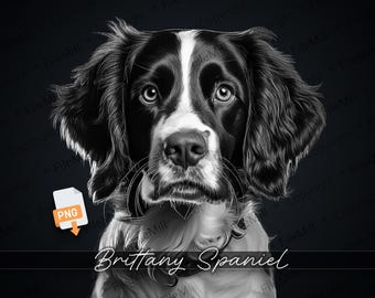 Brittany Spaniel Dog PNG: High-Resolution Transparent Craft File (Digital Download)