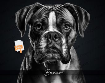 Boxer Dog Portrait PNG: Transparent Craft File (Digital Download)