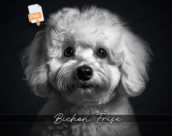 Bichon Frise Dog PNG File: High-Resolution Transparent Design (Digital Download)