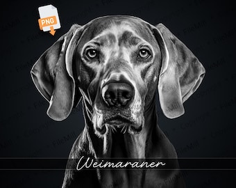 Weimaraner Dog PNG: High-Resolution Transparent File (Digital Download)