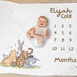 Classic Winnie The Pooh Custom Milestone Blanket, Personalized Monthly Milestone Blanket, Newborn Custom Name Blanket, Personal Baby Gift
