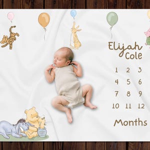 Classic Winnie The Pooh Custom Milestone Blanket, Personalized Monthly Milestone Blanket, Newborn Custom Name Blanket, Personal Baby Gift