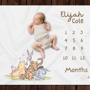 Classic Winnie The Pooh Custom Milestone Blanket, Personalized Monthly Milestone Blanket, Newborn Custom Name Blanket, Personal Baby Gift