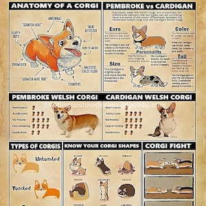 Corgi Knowledge Corgi Dog Lover Art Gift |AI Created One of a Kind Digital Download Canvas Poster Wall Art DIY Printable DIY Craft Supply