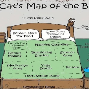 A Cat’s Map of the Bed – Digital Download | Retro Rust Style Canvas Poster | Fairy Core Cottagecore Cat Wall Art | Funny Printable Decor