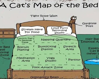Cat's Map of the Bed Print – Retro Funny Cat Lover Art (Digital Download)