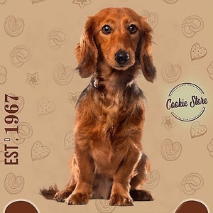 May include: A brown and black dachshund dog sitting on a brown background with the text "WIGGLEBUTT COOKIE CO. EST: 1967" and "SHAKE YOUR MONEY MAKER!"  The dog is sitting in front of a brown bone-shaped sign with the text "Cookie Store" in a circle.