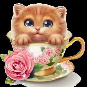 Set of 3 Kittens Transparent Background | Digital Download Wall Art Print and Frame Custom Cards, TShirt Art, Coffee Cup, Quote Design, Etc