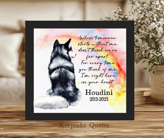 Personalized Siberian Husky Memorial Gift In Loving Memory Loss of Dog Pet Memorial Sign Watercolor Painting Framed Art Sympathy Remembrance