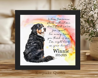 Personalized Bernese Mountain Dog Memorial Gift, In Memory Of Pet Loss Gift, Rainbow Bridge Sympathy Painting Watercolor Art Framed Tribute