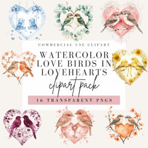 Pájaros enamorados en corazones, imágenes prediseñadas, estilo acuarela, imágenes prediseñadas del día de San Valentín, gráfico, fondo transparente de la imagen, uso comercial PNG
