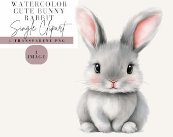 Cute Bunny Rabbit Clipart, Watercolor Style, Transparent