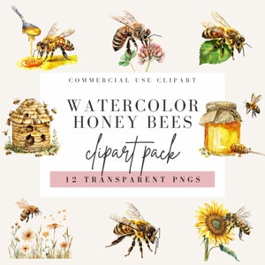 Honey Bees Clipart, Watercolor Style, Transparent Background, Commercial Use PNG, Spring Sunflowers Clip Art, Bumblebee Design, Bee Image