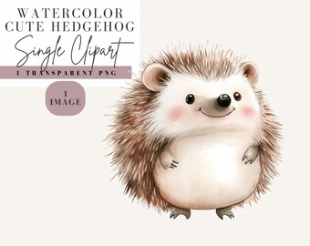 Clipart hérisson mignon, style Aquarelle, fond Transparent, PNG à usage commercial, clipart bébé hérisson, conception automnale, image d'un animal