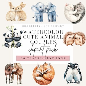 Casais de animais fofos clipart, estilo aquarela, fundo transparente, uso comercial PNG, clipart de safári, design de animais bebês
