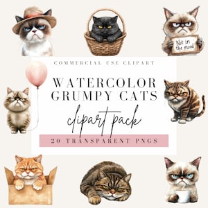 Grumpy Cat Clipart, Watercolor Style, Transparent Background, Commercial Use PNG, Cute Kitten Clip Art, Moody Cats Design, Angry Cats Image