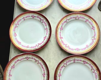 Set of 6 antique porcelain salad plates made in Austria and imported by Wanamaker.