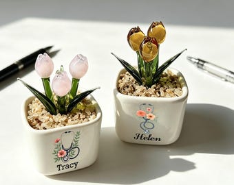 Personalized Glass Plant Ornament, Handmade Crystal Desktop Decor, Miniature Terrarium Style Home Decoration