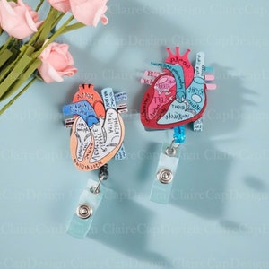 Anatomisches Herz Abzeichen Reel, einziehbare Abzeichen Reel, Ausweishalter, Kardiologie, Kardiologen, Herz Krankenschwester, Organ, Krankenschwester, RN, MRI sicher