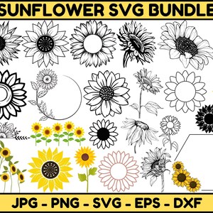 Sunflower SVG, Silhouette, T-shirt, Floral, Graphic, Digital, Commercial use, Instant download