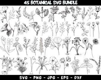 Paquete SVG botánico: Clipart floral dibujado a mano (descarga digital)