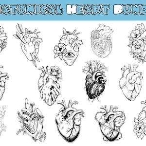 Anatomical Heart Svg Bundle, Flower Heart Svg, Human Heart Svg, Anatomy Svg, Heart SVG, Cardiology Svg, Realistic Heart Svg,Heart Svg Bundle