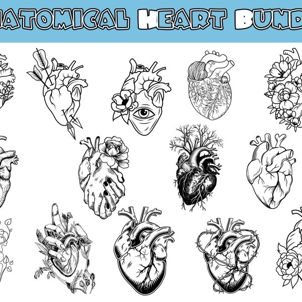 Anatomical Heart Svg Bundle, Flower Heart Svg, Human Heart Svg, Anatomy Svg, Heart SVG, Cardiology Svg, Realistic Heart Svg,Heart Svg Bundle