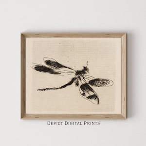 PRINTABLE Insect Artwork, Neutral Background Dragonfly Drawing, Black Dragonfly Sketch Wall Art Print     | DIGITAL DOWNLOAD | 317