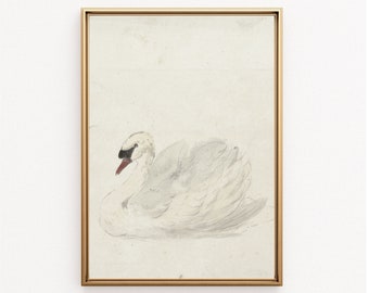 May include: A framed watercolor painting of a white swan with a red beak and black eyes. The swan is swimming in a light blue body of water. The painting is on a white background.