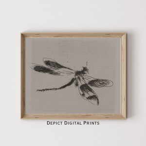 Dragonfly Art Sketch, Insect Drawing Wall Art Print, Vintage Neutral Gray Dragonfly | DIGITAL DOWNLOAD | 256 |