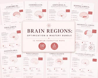 May include: A collection of ten educational documents titled Brain Regions: Optimization & Mastery Bundle. Each page features a line drawing of a specific brain area, including the cerebrum, cerebellum, amygdala, and hippocampus, with text.