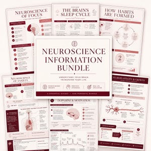 May include: A collection of six educational infographics titled Neuroscience Information Bundle, featuring diagrams on brain function, sleep cycles, habit formation, anxiety, dopamine, and neuroplasticity, printed in dark red and cream tones.