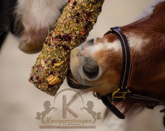 Knusperstange Pferdespielzeug Pferdeholz Knabberspaß Birkenstamm Holzspielzeug