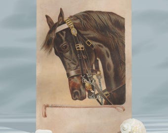 Impresión artística de ilustración de caballo vintage, boceto de animal antiguo (descarga digital)