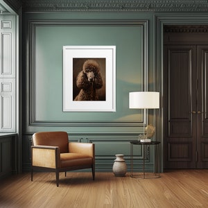 Product image of A brown standard poodle with a white frame around it, sitting in a room with a green wall, a brown leather armchair, a side table, and a lamp.