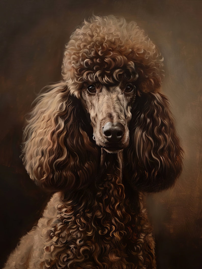 Product image of A brown standard poodle with curly fur, looking directly at the camera. The dog has a serious expression and is set against a brown background.
