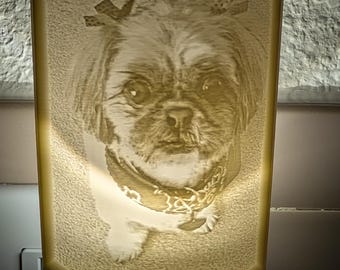 Personalized Lithophane Night Light - Custom Portrait Pet Memorial Gift