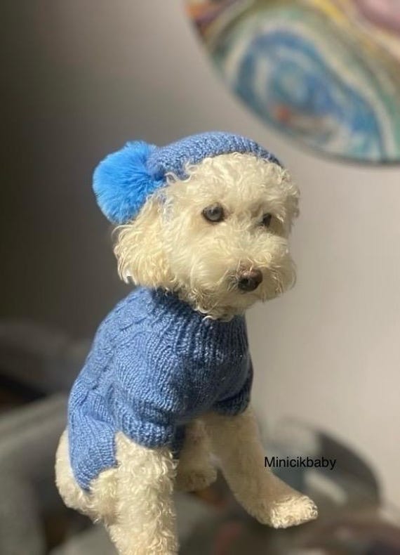 Suéter para perro tejido a mano con gorro: mono de algodón