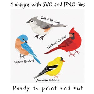 Eastern Backyard Birds SVG and PNG files ready to cut w/ 4 designs: Northern Cardinal, American Goldfinch, Tufted Titmouse, Eastern Bluebird